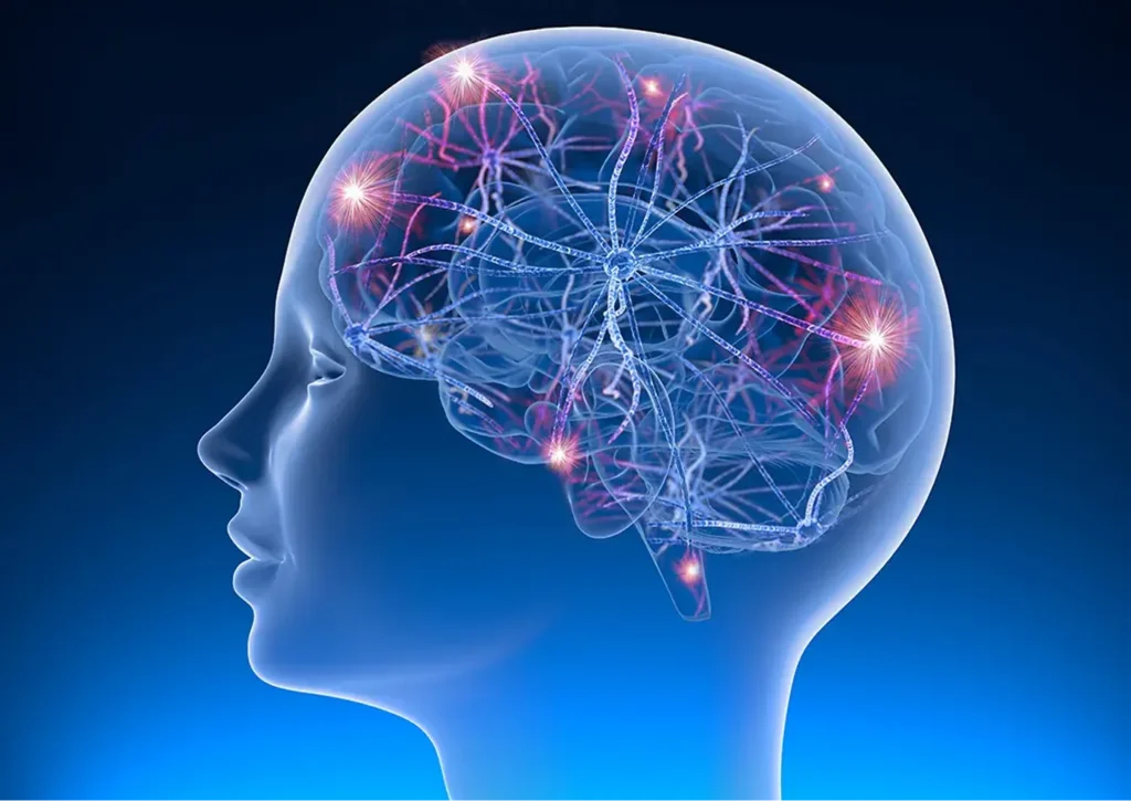 human brain epilepsy treatment delhi
