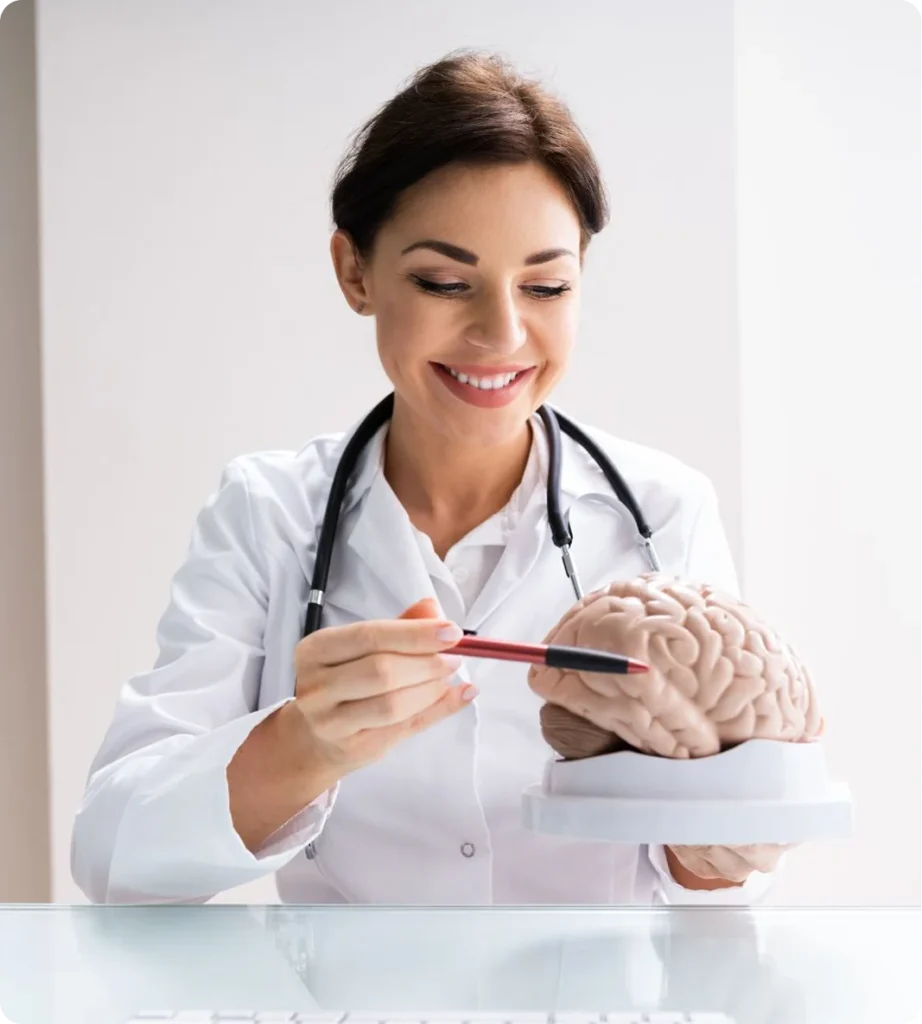 medical diagram depicting the brain and blood vessels.webp