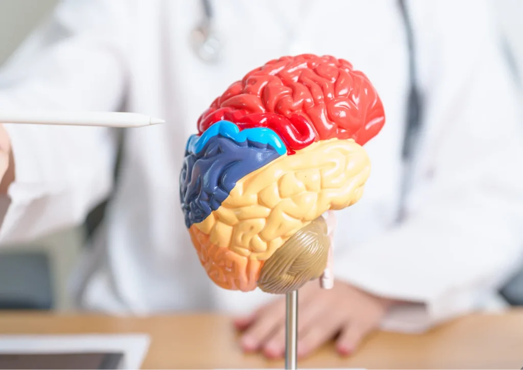 parkinsons disease treatment brain model