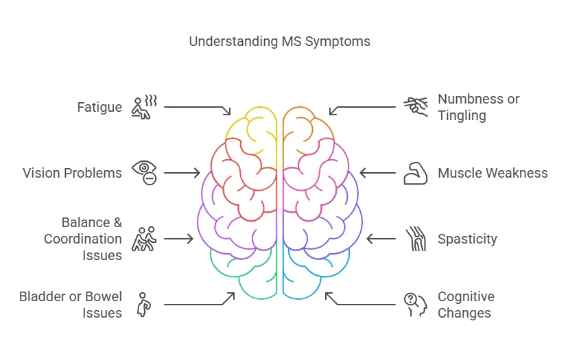 understanding ms symptoms treatment
